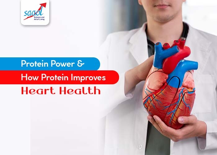 Protein Power & How Protein Improves Heart Health