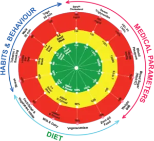 safety circle